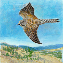 Load image into Gallery viewer, K is for Kestrel | Original Mixed Media Painting
