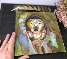 Load image into Gallery viewer, Little Owl |Original Mixed Media Painting
