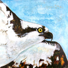 Load image into Gallery viewer, Osprey Eyes | Original Acrylic Painting on Wood
