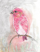 Load image into Gallery viewer, Red Finch | Wood Print
